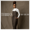 You Still Do - Terrian