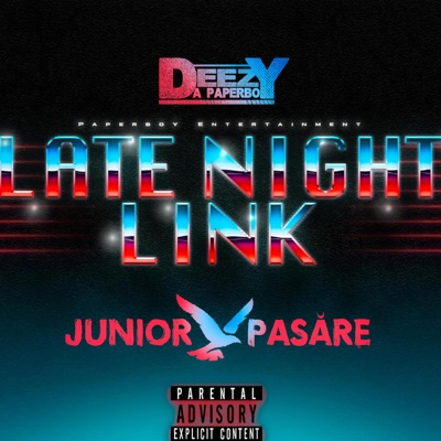 Late Night Link (feat. Junior Pasare) - Single