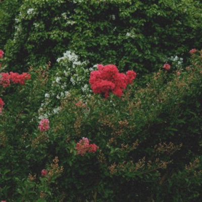 no blemish (feat. Lil Rekk) - Single