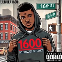 50 Shades of Gray - Single - Lilmula1600