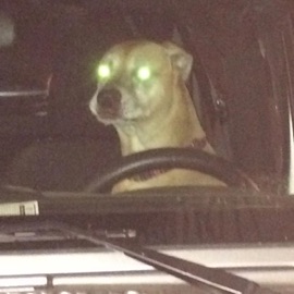 Big Bubba Scott Box & Chris Suarez