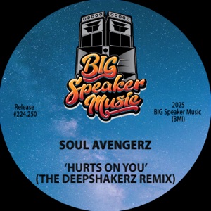 Hurts On You (The Deepshakerz Remix) - Single