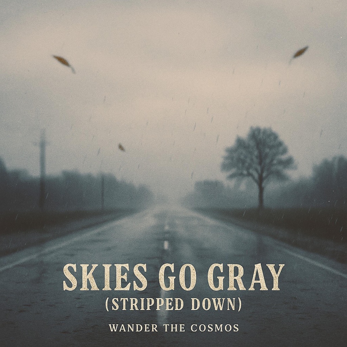 Skies Go Gray (Stripped Down) cover art