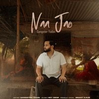 Naa Jao (feat. Beant Kaur & Hey Drop) - Single - Gangster Yadav