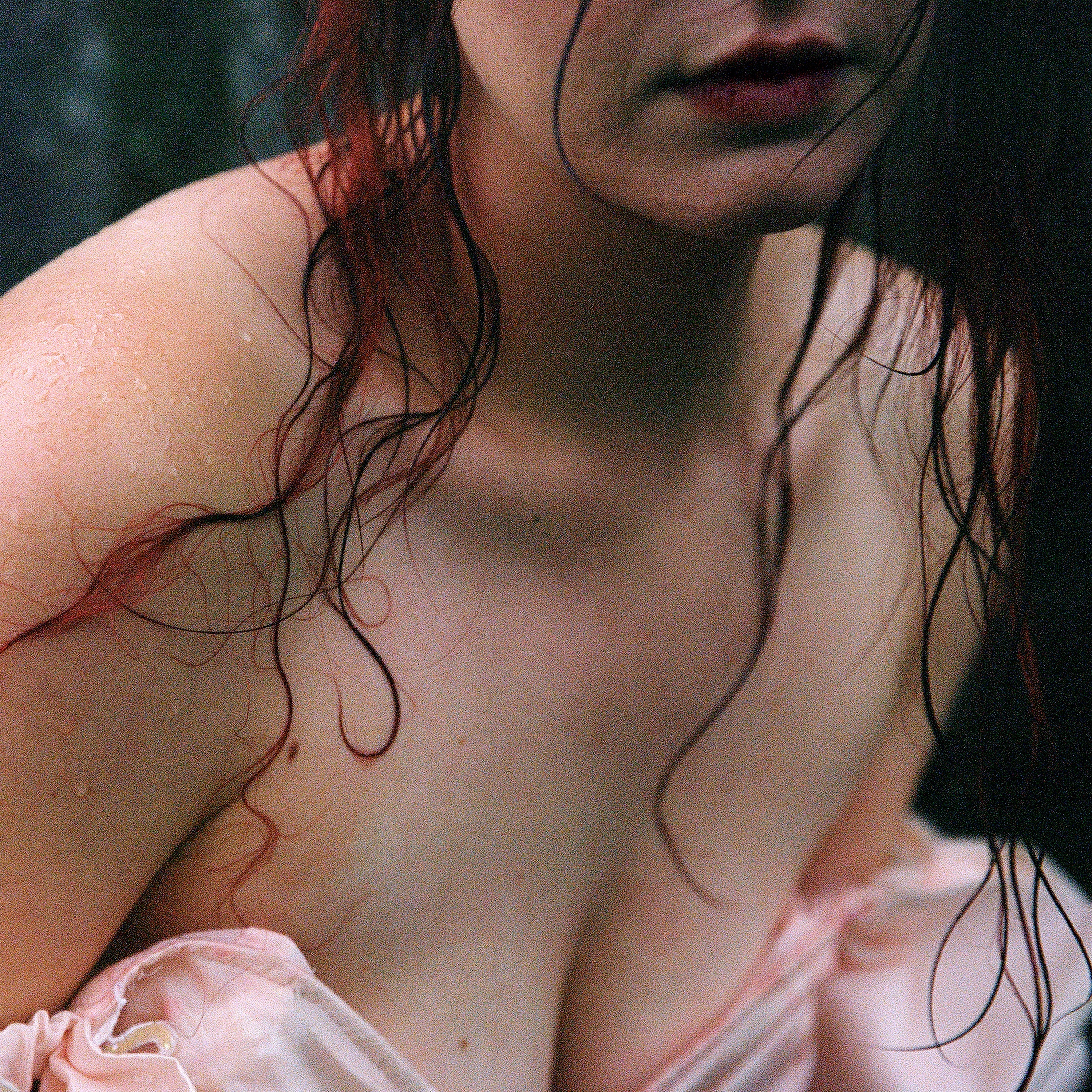 Lou-Adriane Cassidy - Dis-moi dis-moi dis-moi - Journal d'un Loup-garou