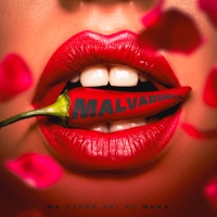 Malvadinha - Single - MC Vitão PR & DJ MUKA