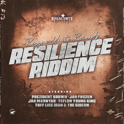 Resilience riddim