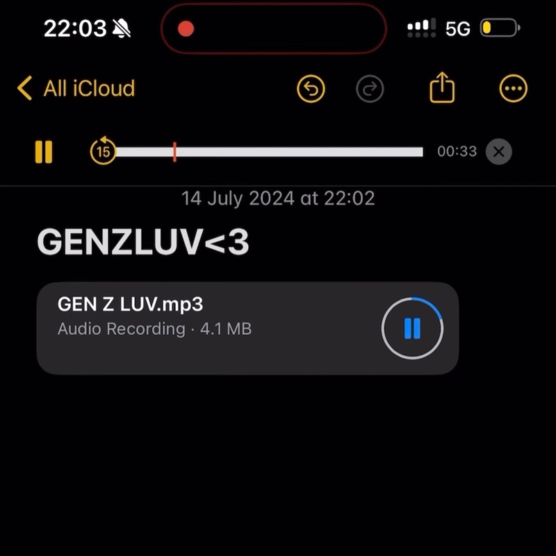 Meaning of gen z luv by Central Cee
