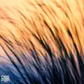 Lost In Motion