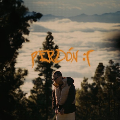PERDÓN - Single