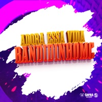 Adora Essa Vida (feat. Mc Guw JG) - Single - Dj Felipe Amadeu, VSETH7 & BANDIDINHO MC