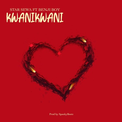 KWANIKWANI (feat. Benji Boy) - Single