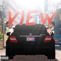 View (feat. Pradda Jay) - Single - X2Waavy
