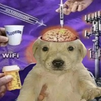 Havin shit up (feat. 4th floor productions) - Single - Krssvec