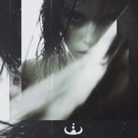 In My Head - Single - WEVLTH