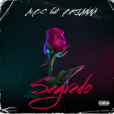 Segredo (feat. Brianna) - Single