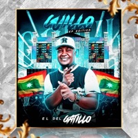 El Toro En Vivo - Single - guillo el del gatillo, Prix 06 & Magicstick