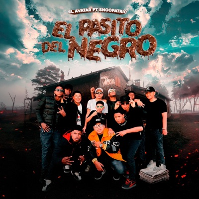 El pasito del Negro (feat. El Avatar & Snoopatrick) - Single