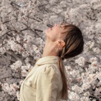 Spring Songs On The Fly