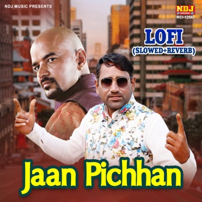 Jaan Pichhan Lofi (Slowed+Reverb) - Single