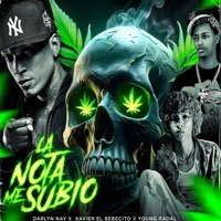 La Nota Me Subio - Single - Xavier El BEBECITO, Young Radal & Darlyn Nay