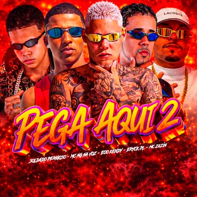 Pega Aqui 2 (feat. Mc Zkzin) - Single