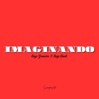 Imaginando - Single - Benji Gramitos, Benji Bendi & ssiempresente