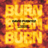 Burn - David Puentez