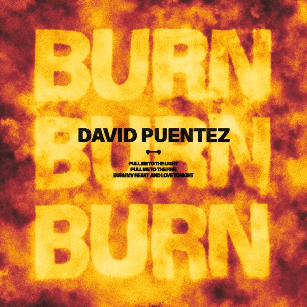 David Puentez Burn