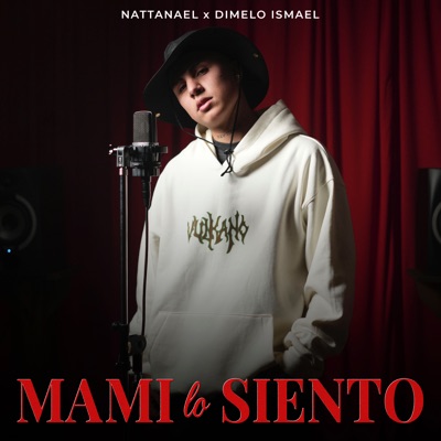 Mami Lo Siento - Single