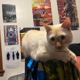 Film Junkie November Day