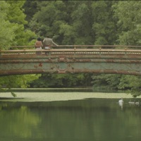 palisades - Single - Kenji