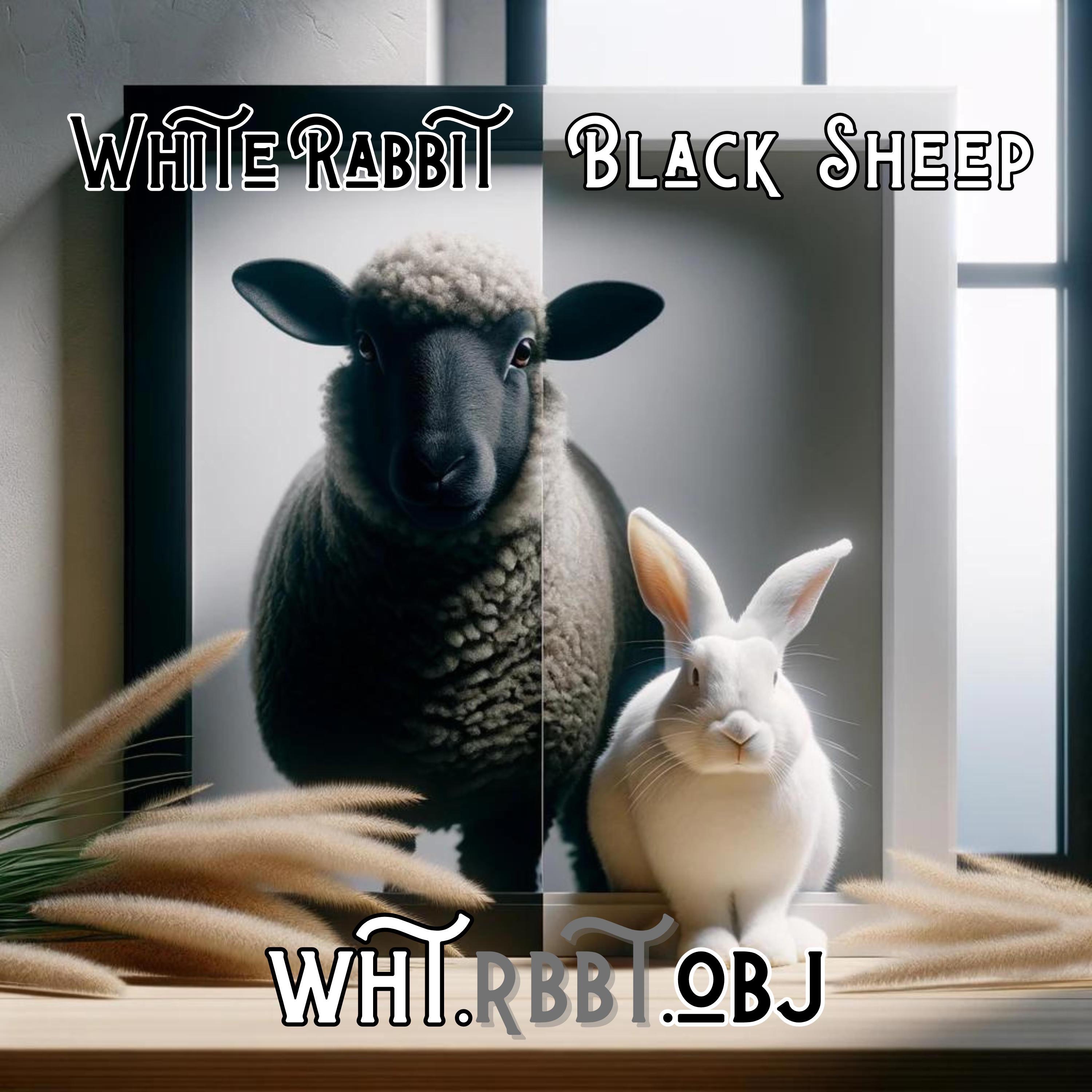White Rabbit Black Sheep - Single