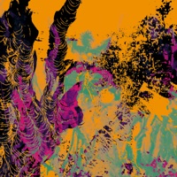 Guauchos - Monedas por Amor