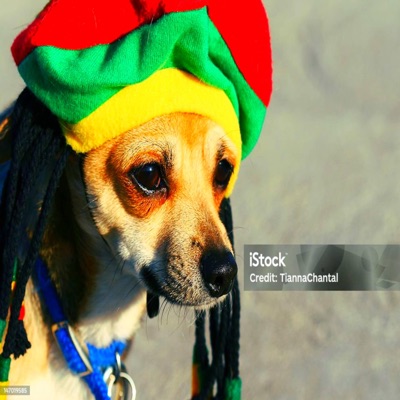 ion evn liek yu (kxnmxn) #tranqmob - Single