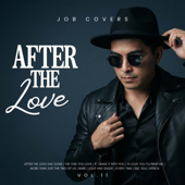 Cover art for Job Covers, Vol. 11 : After The Love by Job Covers