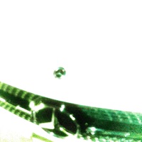 touchy (feat. NC7teen & SOSKENZO) - Single - NoCaution