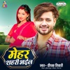 Mehar Shahari Bhail - Single