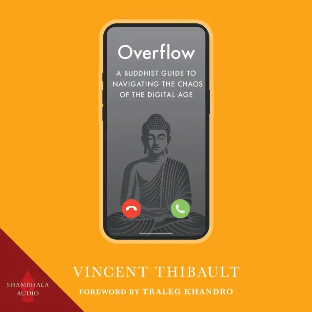 Overflow: A Buddhist Guide to Navigating the Chaos of the Digital Age (Unabridged)