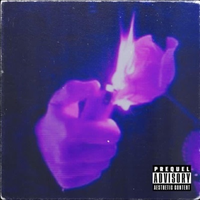 Real Love (feat. NAS1R) [Remix] - Single