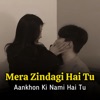 MAHFUZ BADSHA - Mera Zindagi Hai Tu Aankhon Ki Nami Hai Tu