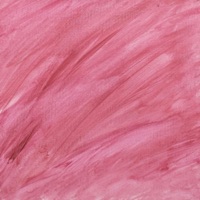 Ain't got no answers - Single - Enzo Winogrodzki