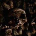 Helsloth's Viscid Elixir