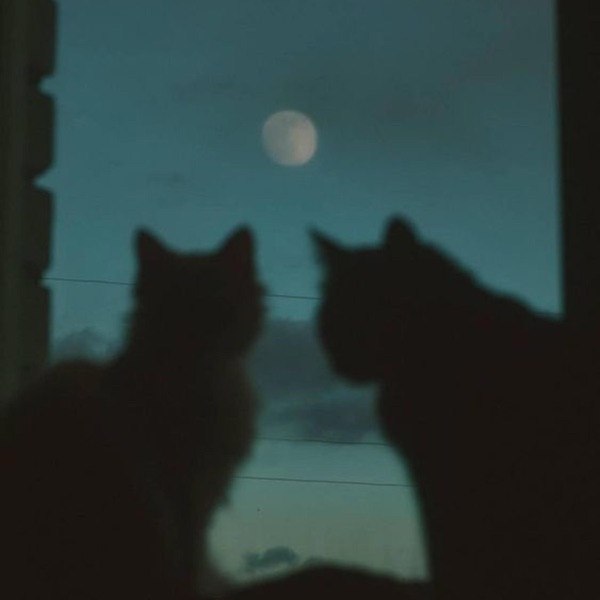 moonlight - EP