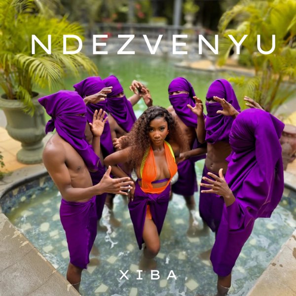 Ndezvenyu - Single - Album by Xiba - Apple Music
