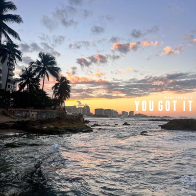 You Got It - Single