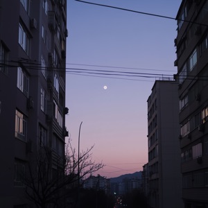 morning moon