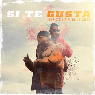 SI TE GUSTA - Single