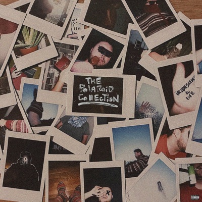 The Polaroid Collection