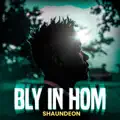 Bly In Hom